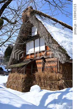 雪に覆われた菅沼合掌造り家屋 雪に覆われた菅沼合掌造り家屋 136941315