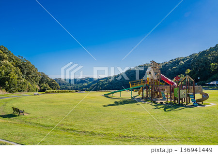 袋井市のみつかわ夢の丘公園のコスモスの風景(静岡県) 136941449