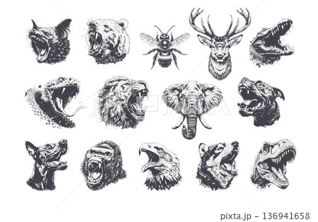 Fierce predator heads bundle, hand drawn engraved style illustrations for apparel and tattoo design. 136941658