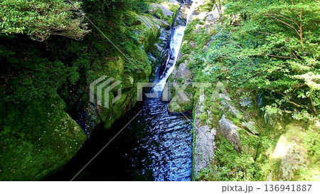 鹿児島県屋久島の白谷雲水峡 鹿児島県屋久島の白谷雲水峡 136941887