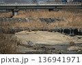 八王子北浅川の水位減少 136941971