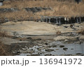 八王子北浅川の水位減少 136941972