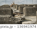 八王子北浅川の水位減少 136941974