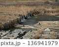 八王子北浅川の水位減少 136941979