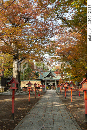 紅の木製灯篭と紅葉の木々が彩る社殿 136942158