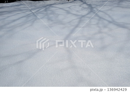 雪原 136942429