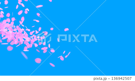 空に舞う桜の花びら 春の桜吹雪 CG 空に舞う桜の花びら 春の桜吹雪 CG 136942507