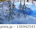 池に写った木々 136942543