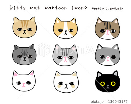 いろんな猫ちゃんの手描きイラストベクターアイコンセット いろんな猫ちゃんの手描きイラストベクターアイコンセット 136943175