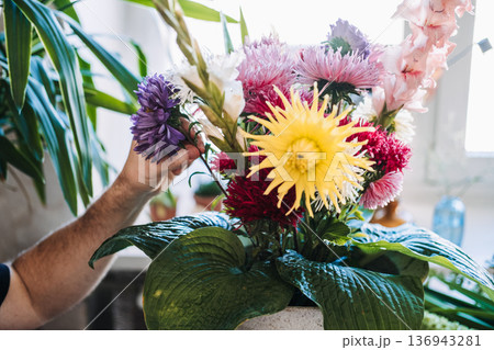 Hands of man adjust purple flower in large bouquet with dahlia and asters. Mental health hobbies, tactile healing, peaceful home environment, creative meditation, emotional wellness. Hands of man adjust purple flower in large bouquet with dahlia and asters. Mental health hobbies, tactile healing, peaceful home environment, creative meditation, emotional wellness. 136943281