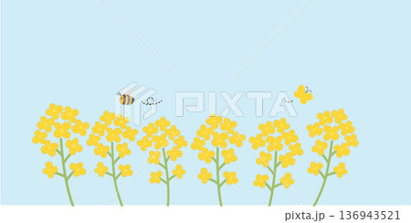 春の背景イラスト　バナー　春の花　フレーム　 136943521