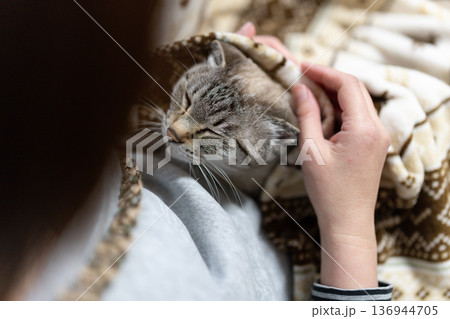 ネコを抱く 136944705