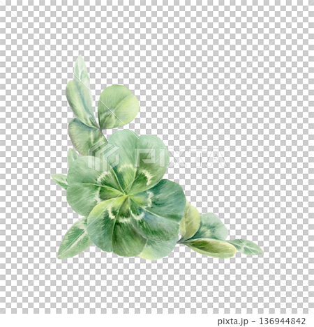 Corner frame of rare four leafs clovers,iconic symbol of luck and Saint Patricks Day.Watercolor vibrant shamrocks template for holiday cards,Irish designs,festive spring branding,celtic wedding 136944842