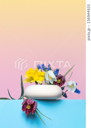 Wood stones and flowers muscari, grouse and daffodils on podium on pink and yellow gradient background. Concept scene stage showcase for new product, banner, promotion sale, cosmetic, presentation Wood stones and flowers muscari, grouse and daffodils on podium on pink and yellow gradient background. Concept scene stage showcase for new product, banner, promotion sale, cosmetic, presentation 136944920