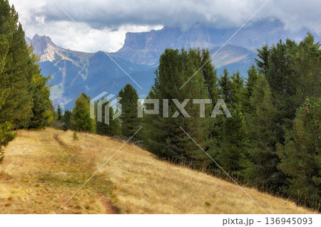 Dolomites Alpe di Siusi, Italy pathway 136945093