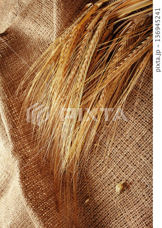 Wheat stalks laid on burlap showing farming practice during harvest season Wheat stalks laid on burlap showing farming practice during harvest season 136945241
