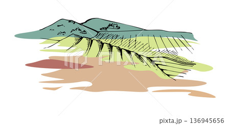 Agricultural landscape with patchwork fields and cultivated farmland. Isolated ink vector illustration hand drawn with clean linework. Rural branding, farm food market packaging, educational visuals. Agricultural landscape with patchwork fields and cultivated farmland. Isolated ink vector illustration hand drawn with clean linework. Rural branding, farm food market packaging, educational visuals. 136945656