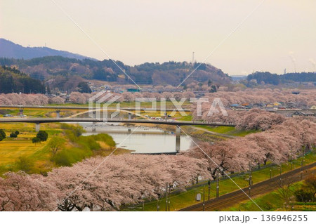 一目千本桜 136946255
