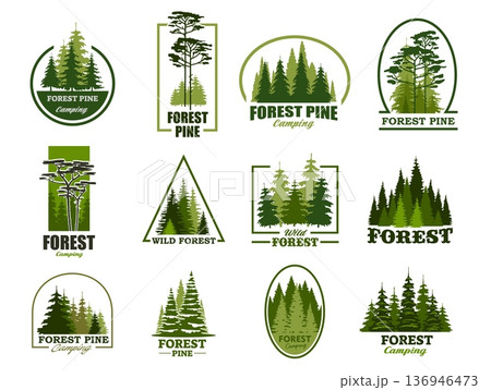 Pine tree silhouette icons, forest park and outdoor camp symbols. Vector evergreen woods of pine, fir, cedar or spruce, cypress or hemlock in minimalist line frames. Coniferous forest green icons set 136946473