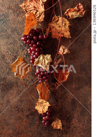 Vine with dried leaves and ripe grapes. 136946526