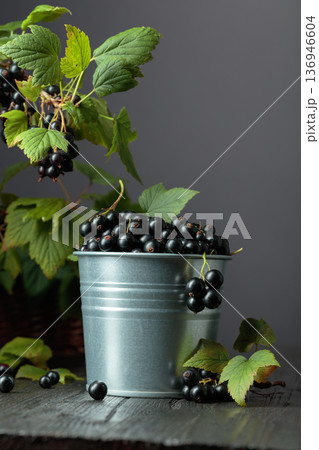 Black currant in a small bucket. Black currant in a small bucket. 136946604