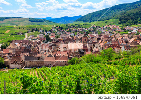 View of Riquewihr village with vineyard on a foreground. Alsace Wine Route, France 136947061