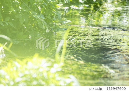 森の新緑・清流・エコイメージ 地蔵滝の泉 森の新緑・清流・エコイメージ 地蔵滝の泉 136947600