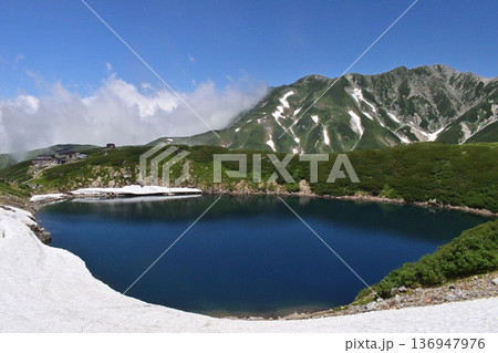 富山県 夏の立山ミクリガ池 富山県 夏の立山ミクリガ池 136947976