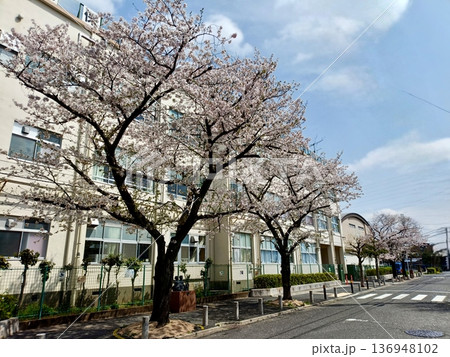 足立区立花保小学校 136948102