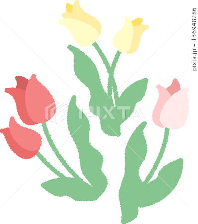 黄色と赤とピンク色のチューリップのイラスト 136948286