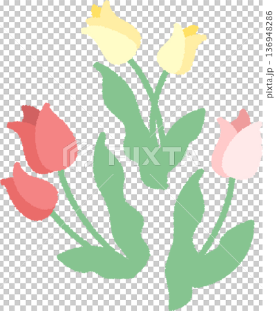 黄色と赤とピンク色のチューリップのイラスト 136948286