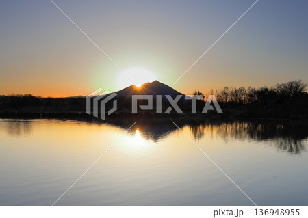 Wダイヤモンド筑波　茨城県 母子島遊水地 136948955