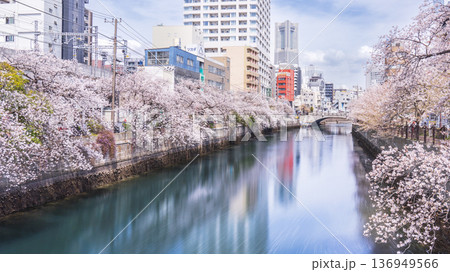 春の横浜・大岡川の都市風景【神奈川県・横浜市】 136949566