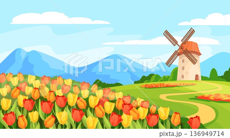 Tulips field landscape. Colorful garden tulip spring flowers meadow cartoon nature background, green wildflowers plants blue sky scenery panoramic banner, neat vector illustration 136949714