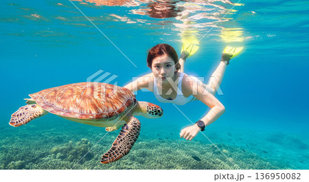 ウミガメと泳ぐ白い水着の女性 136950082