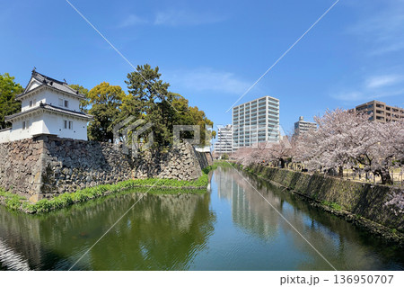 大分府内城址と満開の桜 大分府内城址と満開の桜 136950707