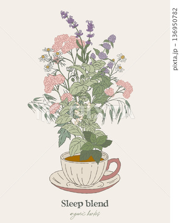 Digestive Herbal Blend Tea Cup Illustration Digestive Herbal Blend Tea Cup Illustration 136950782