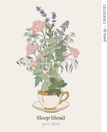 Digestive Herbal Blend Tea Cup Illustration 136950783