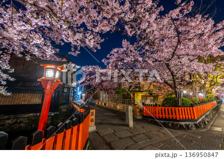 京都　祇園白川　巽橋の桜 136950847