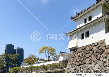 府内城趾と大分市役所庁舎 136950850