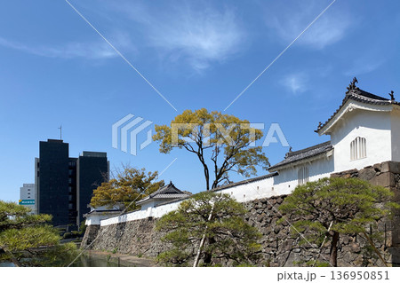 府内城趾と大分市役所庁舎 府内城趾と大分市役所庁舎 136950851