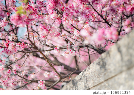 台湾 台北 台北市 136951354