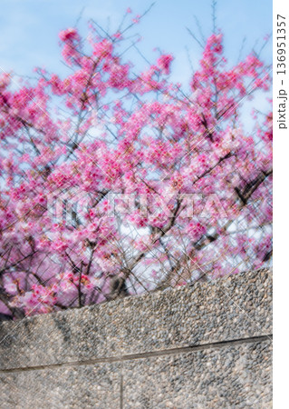 台湾 台北 台北市 136951357