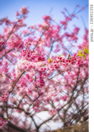 台湾 台北 台北市 136951358