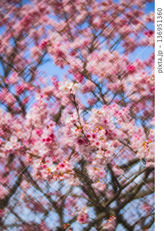 台湾 台北 台北市 136951360