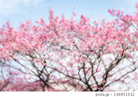 台湾 台北 台北市 136951532