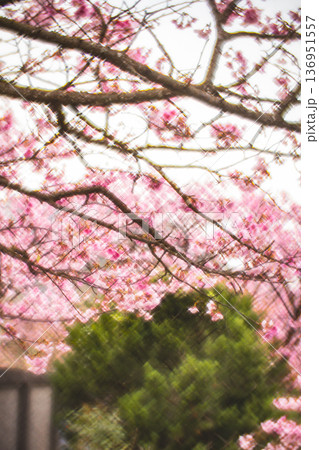 台湾 台北 台北市 136951557