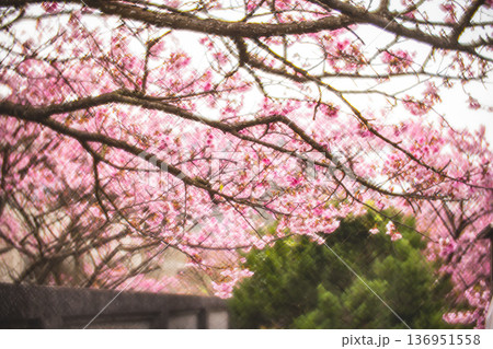 台湾 台北 台北市 136951558