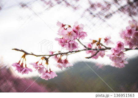 台湾 台北 台北市 136951563