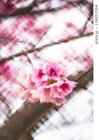 台湾 台北 台北市 136951564